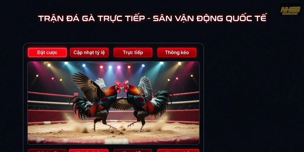Minh họa giao diện xem đá gà trực tiếp trên nền tảng NH88 với chất lượng HD sắc nét